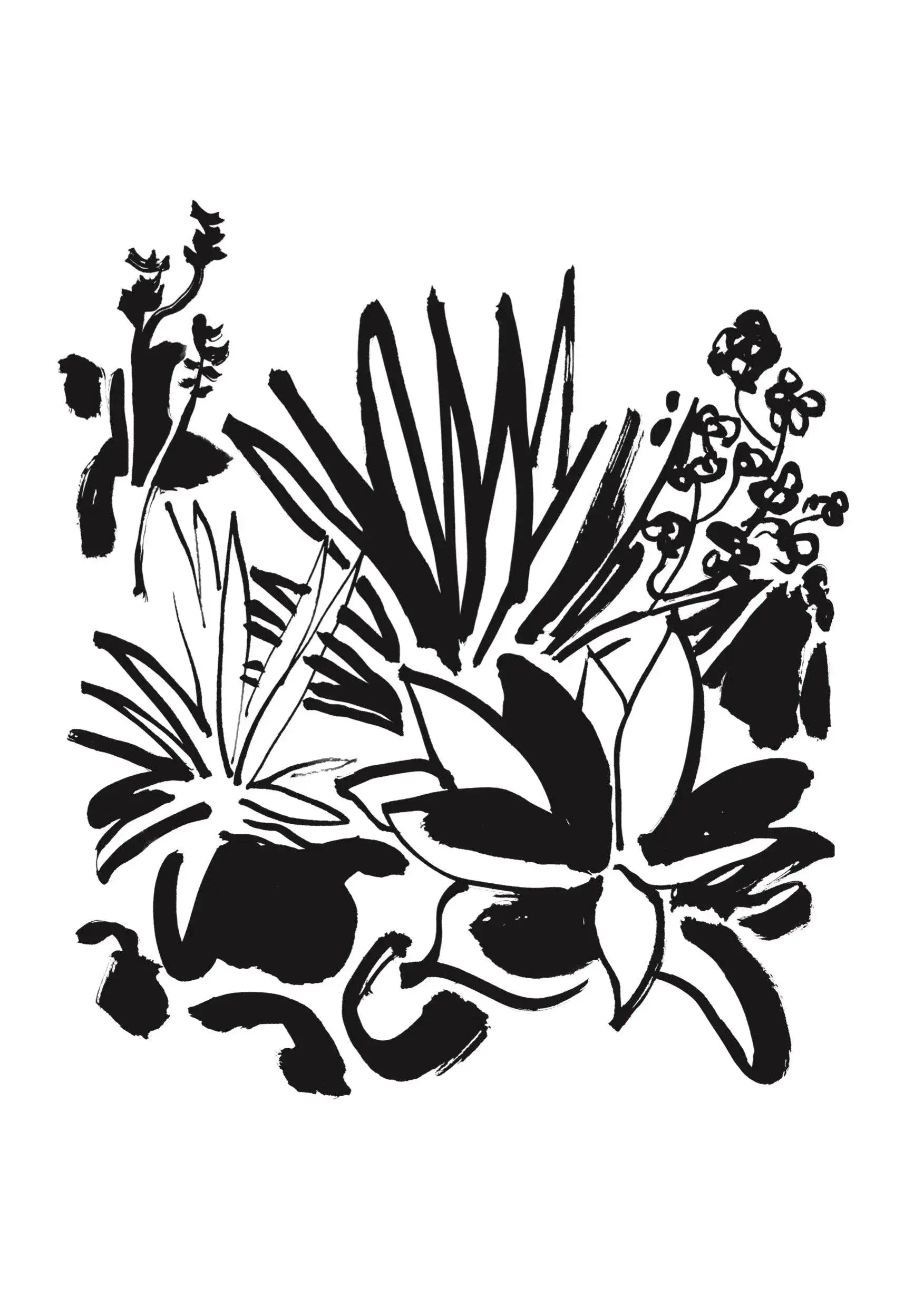 Imagen del producto 11