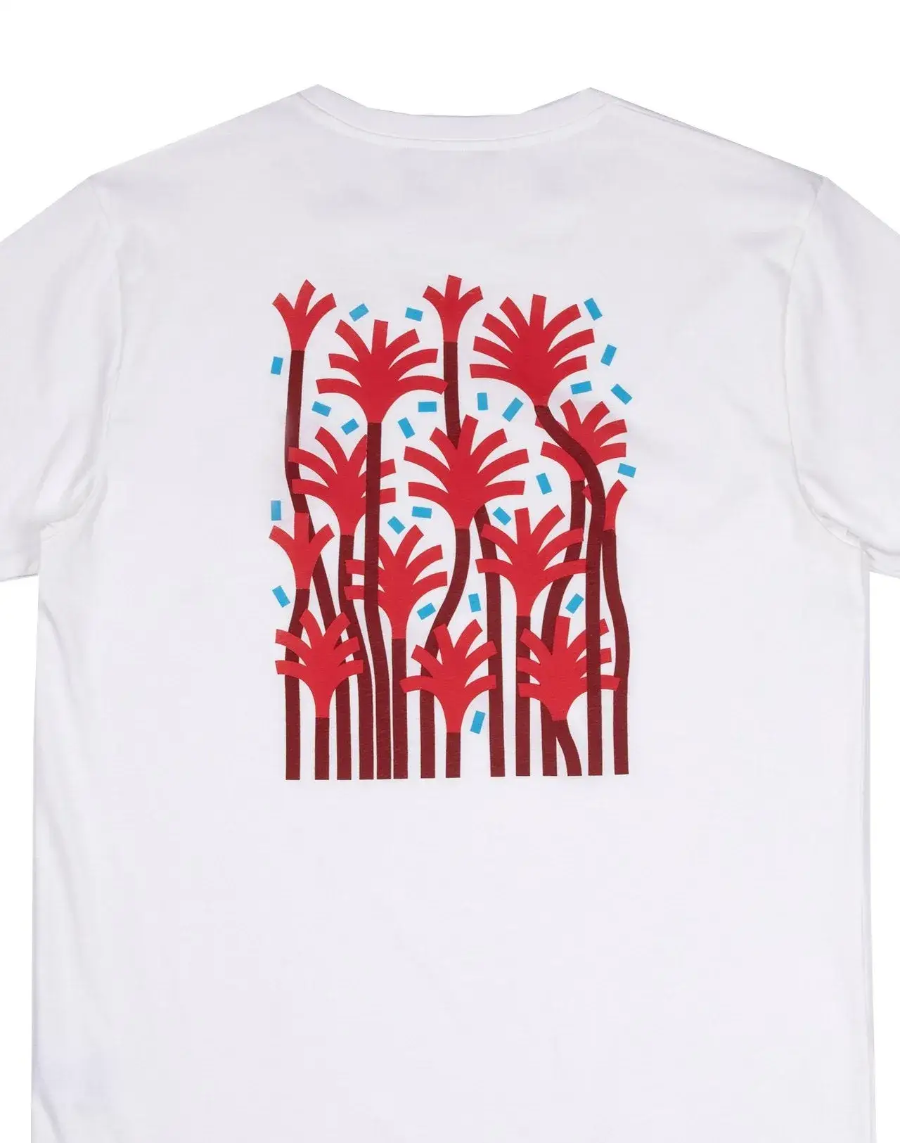 Imagen del producto 6